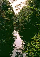 Flusslandschaft